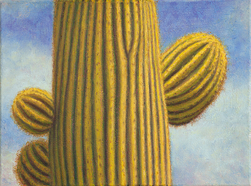 SAGUARO TRIO 12&quot;x16&quot;