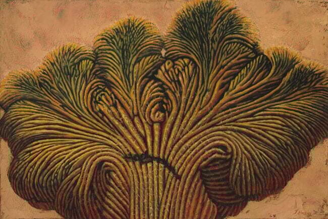 SAGUARO WONDER 24&quot;x36&quot;