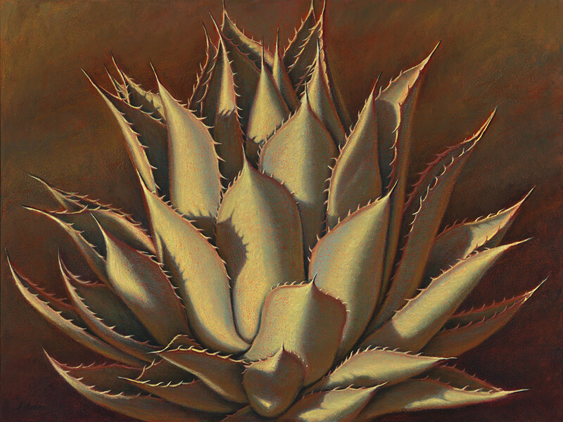 AGAVE DANCE 30&quot;x40&quot;