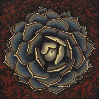 I HEART AGAVE 36&quot;x36&quot;