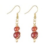 GOLD STAINLESS CARNELIAN EARRINGS FJE153