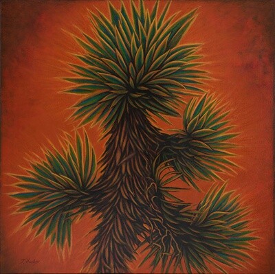 SUN WORSHIPER 30&quot;x30&quot;