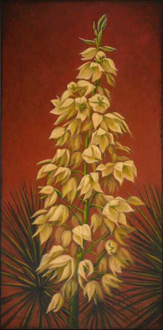 YUCCA&#39;S GIFT 40&quot;x20&quot;