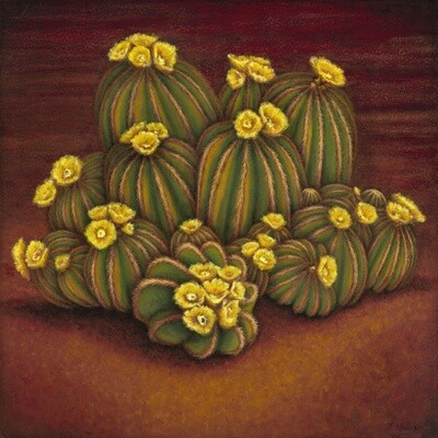 HELLO SUNSHINE 30&quot;x30&quot;