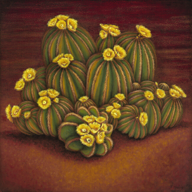 HELLO SUNSHINE 30&quot;x30&quot;