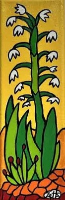 YUCCA 12&quot; x 4&quot;