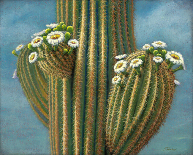 SAGUARO JOY 24&quot; x 30&quot;