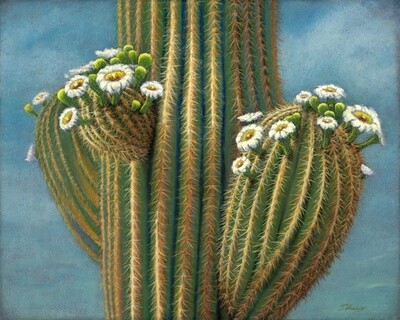 SAGUARO JOY 24" x 30"