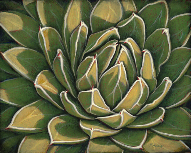 TIMELESS AGAVE 16&quot; x 20&quot;