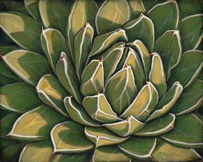 TIMELESS AGAVE 16&quot; x 20&quot;