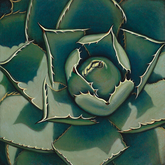 AGAVE SPIRIT 30&quot; x 30&quot;