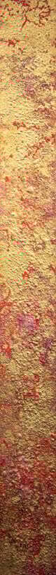ALWAYS GOLDEN III 48&quot; x 5&quot;