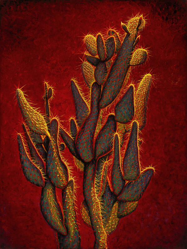 PRICKLY PIZAZZ 40&quot; x 30&quot;