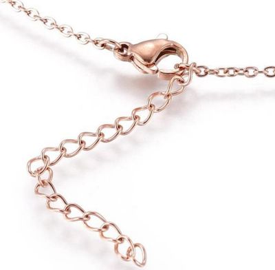 ROSE STAINLESS MOONSTONE &amp; CZ HEART NECKLACE