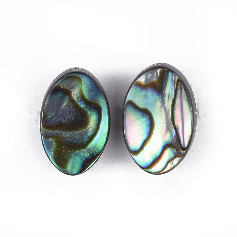 SILVER STAINLESS ABALONE EARRINGS