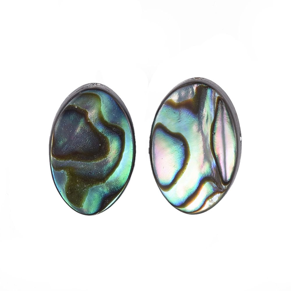 SILVER STAINLESS OVAL ABALONE POST EARRINGS