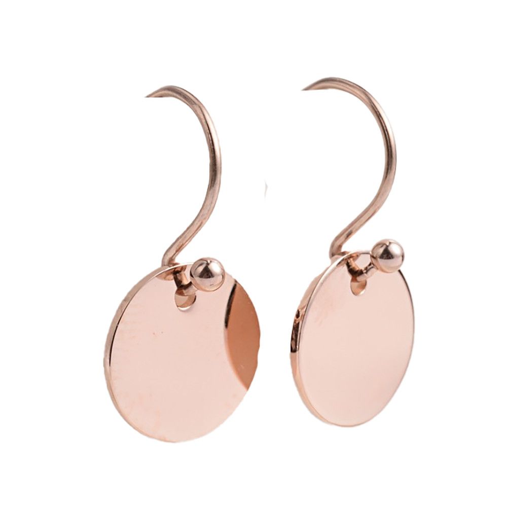 ROSE STAINLESS CIRCLE HOOK EARRINGS