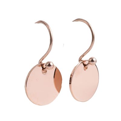 ROSE STAINLESS CIRCLE HOOK EARRINGS