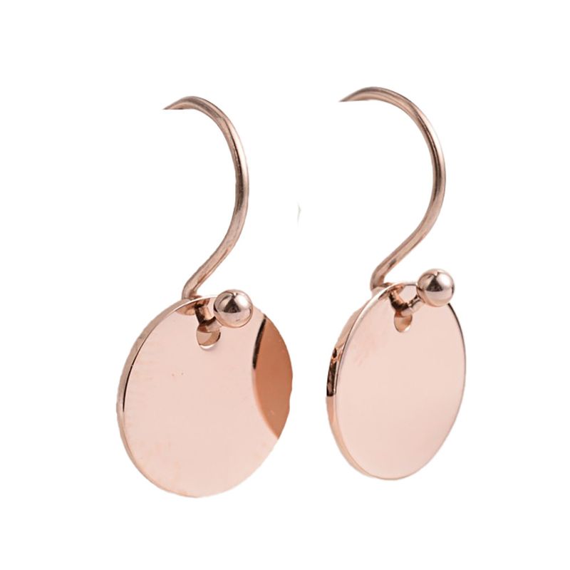 ROSE STAINLESS CIRCLE HOOK EARRINGS