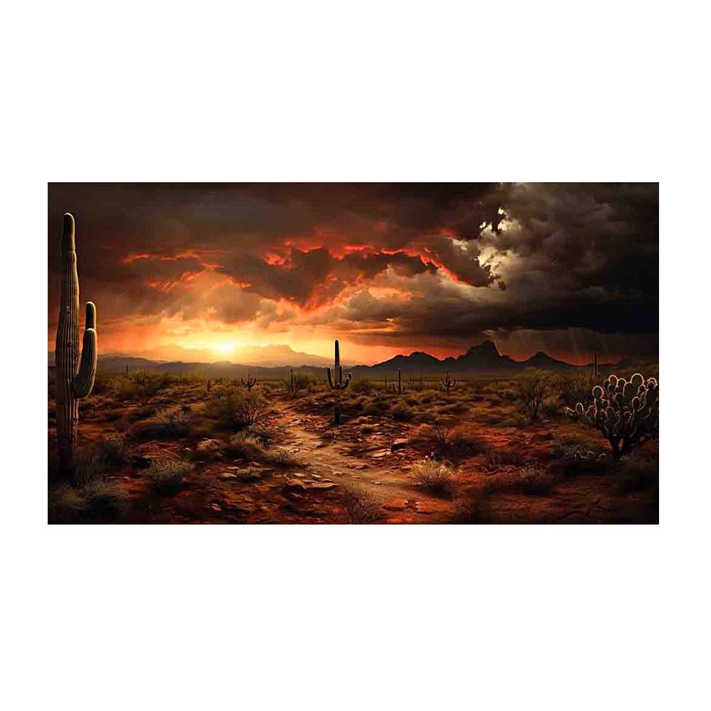 SONORAN LIGHTS 24" x 48" Acrylic on Metal