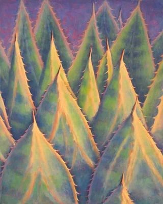 AGAVE EVERGREEN 20" x 48"
