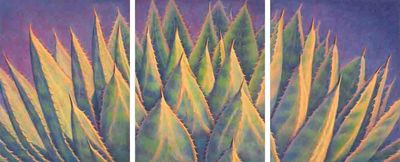 AGAVE EVERGREEN 20" x 48" AGAVE EVERGREEN 20" x 48"