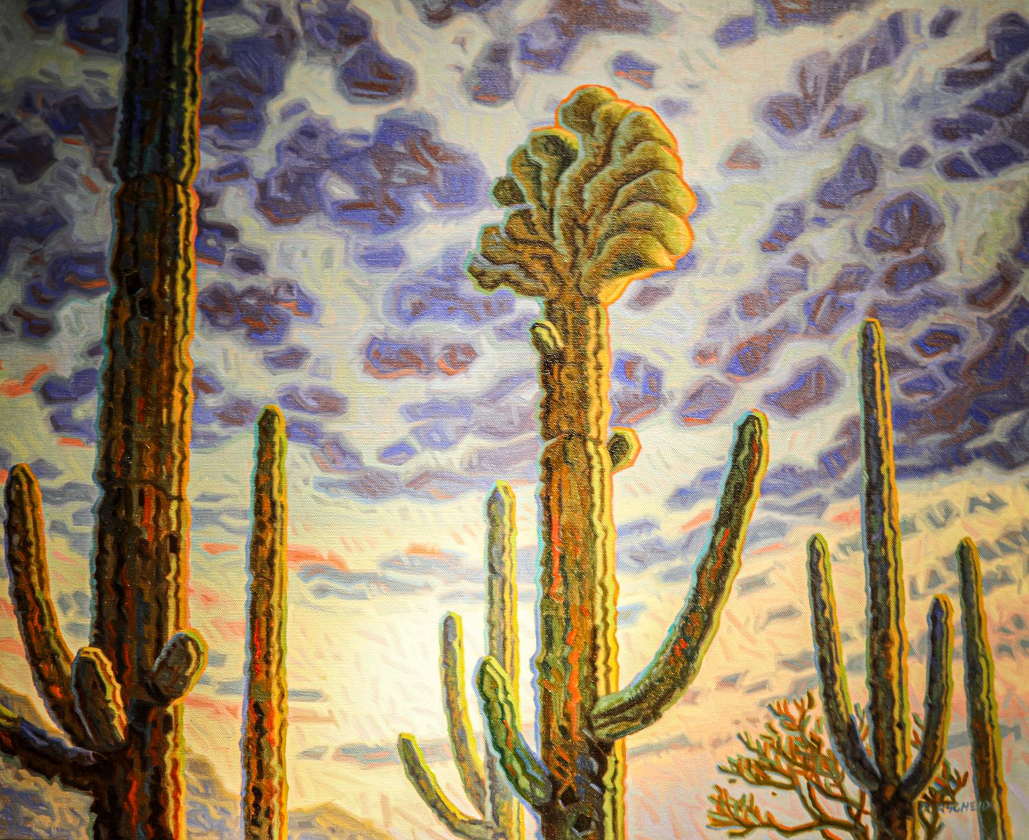 "Crested Saguaro"