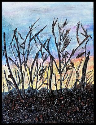 SONORAN SUNRISE 16" x 12"