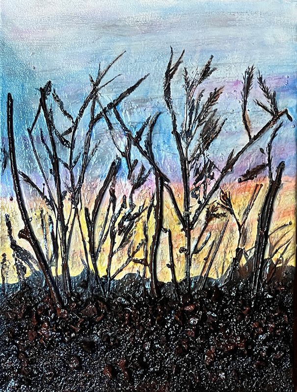 SONORAN SUNRISE 16" x 12"