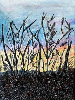 SONORAN SUNRISE 16" x 12"