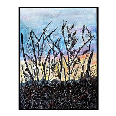 SONORAN SUNRISE 16" x 12"