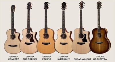 Acoustic Guitar Body Shapes