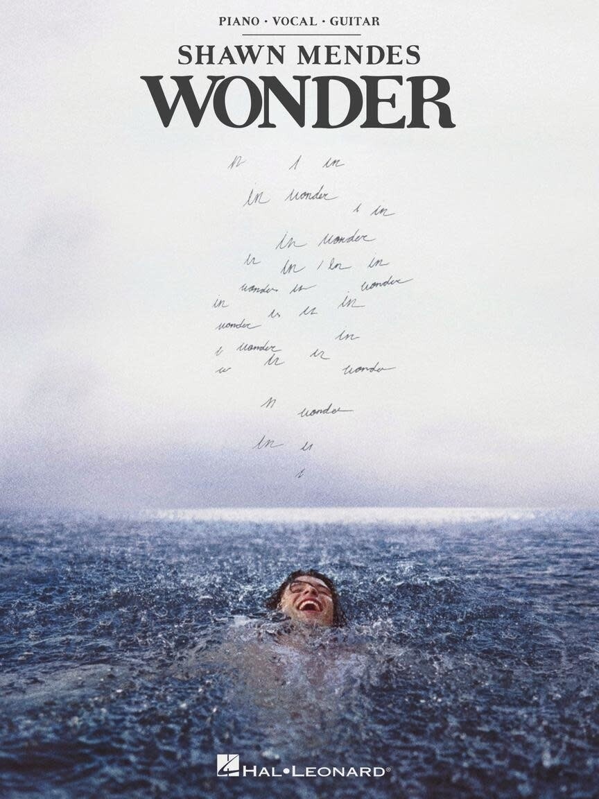 Wonder - Shawn Mendes PVG