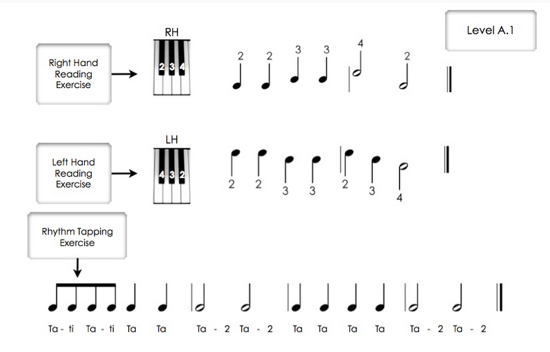 Piano Safari - Sight Reading Cards 1