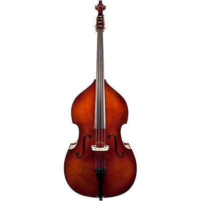 Bass Teachers