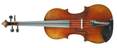 Viola Teachers