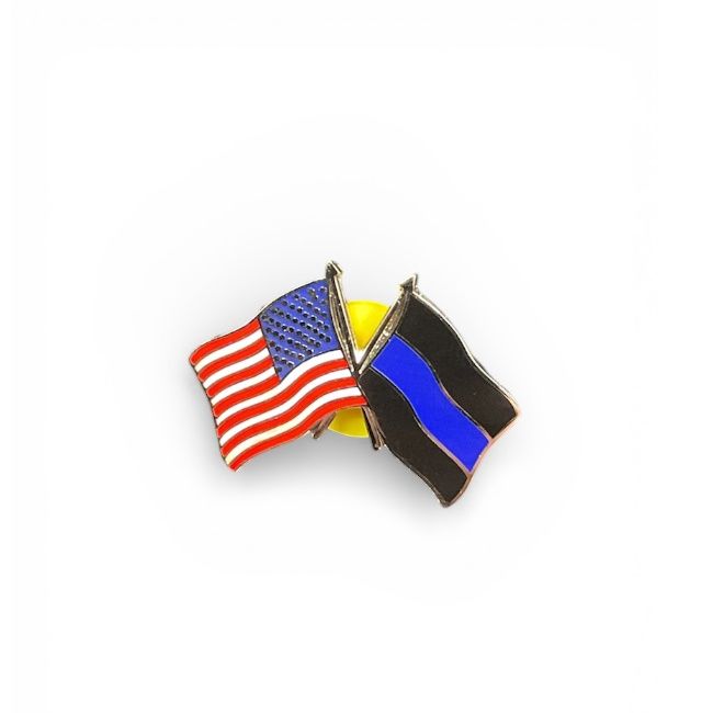USA Flag and Thin Blue Line Pin