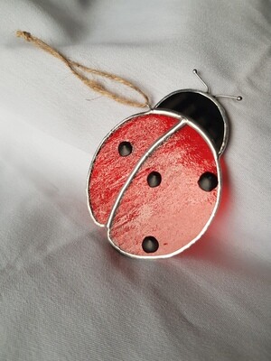 Ladybird