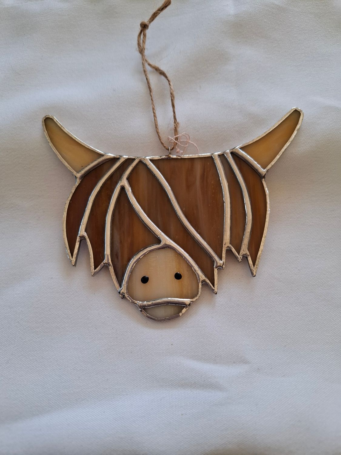 Highland Cow