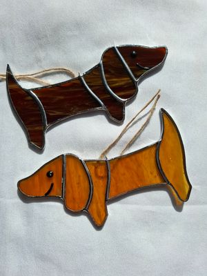 Dachshund