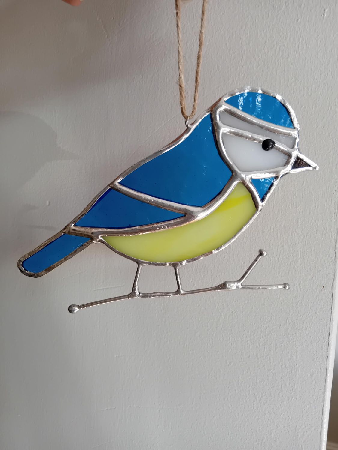 Blue Tit