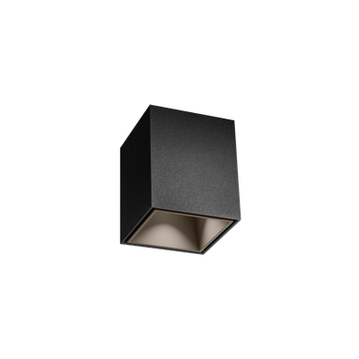 BOX mini 1.0 mat zwart + brons Loxone tree