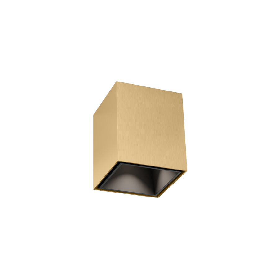 BOX mini 1.0 champagne + mat zwart Loxone tree