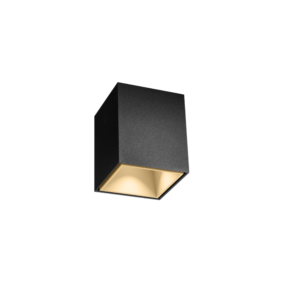 BOX mini 1.0 mat zwart + champagne Loxone tree