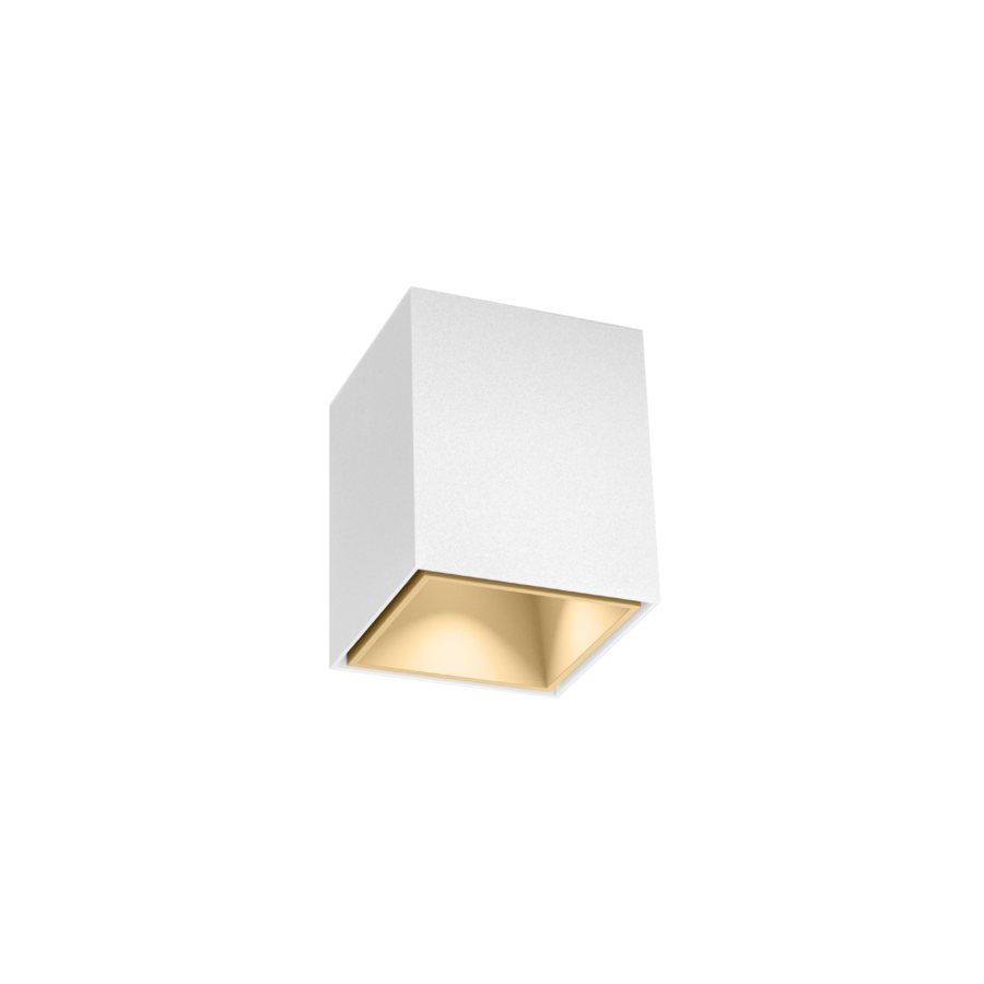 BOX mini 1.0 mat wit + champagne Loxone tree