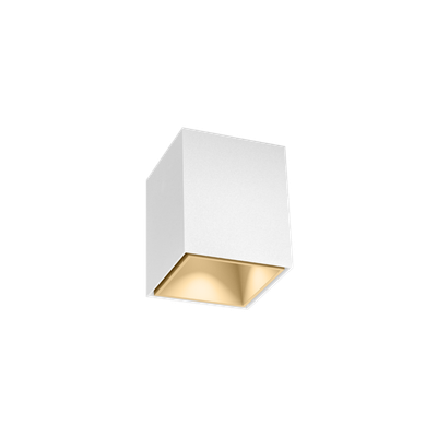 BOX mini 1.0 mat wit + champagne Loxone tree