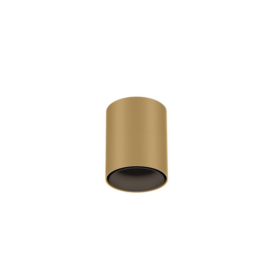 RAY mini 1.0 champagne + mat zwart  Loxone tree - 25825LMB9