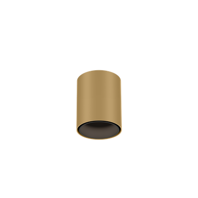 RAY mini 1.0 champagne + mat zwart  Loxone tree - 25825LMB9