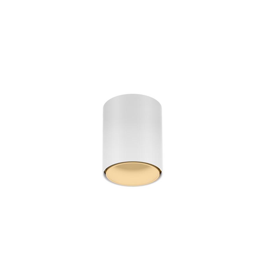 RAY mini 1.0 mat wit + champagne  Loxone tree - 25825LWM9