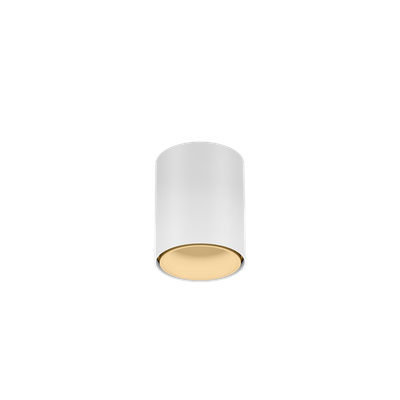 RAY mini 1.0 mat wit + champagne  Loxone tree - 25825LWM9